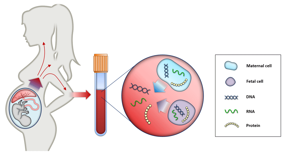 Genetic Screening In Pune