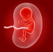 SUA In Pregnancy In Pune