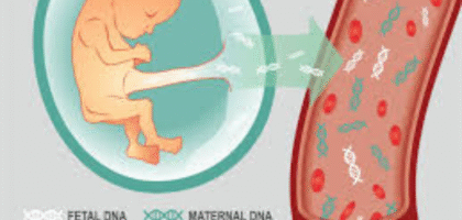 Cell-Free DNA Testing