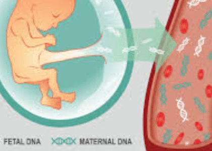Cell-Free DNA Testing